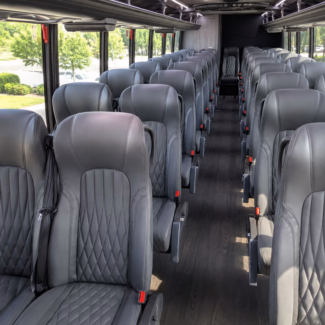Charleston School Event Transportation party bus exterior