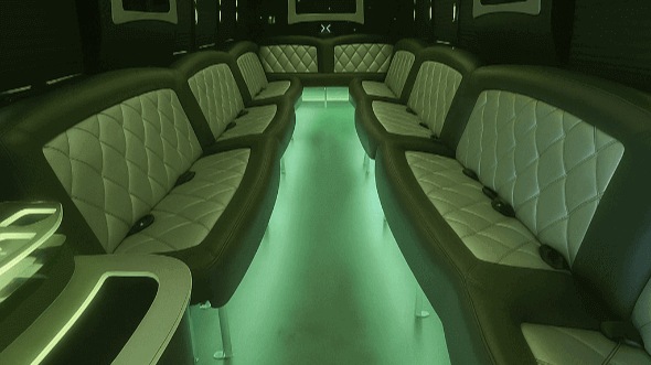 Interior of Charter Bus Company Summerville's 30 Passenger Party Bus in Summerville