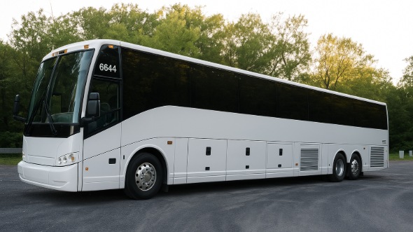 charleston bachelor and bachelorette party bus rentals